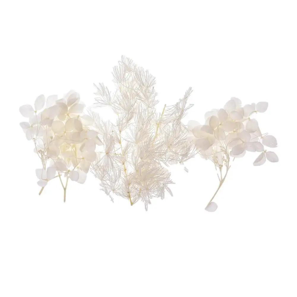 

Dried Pressed Flowers Dried Flowers Leaves Bulk For DIY Candles For Nail Art Pressed Flowers For Home Decor Handicraft