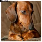 Картина из страз с изображением таксы, собаки, квадратные круглые стразы, алмазная вышивка, мозаика с изображением милого щенка, вышивка крестом