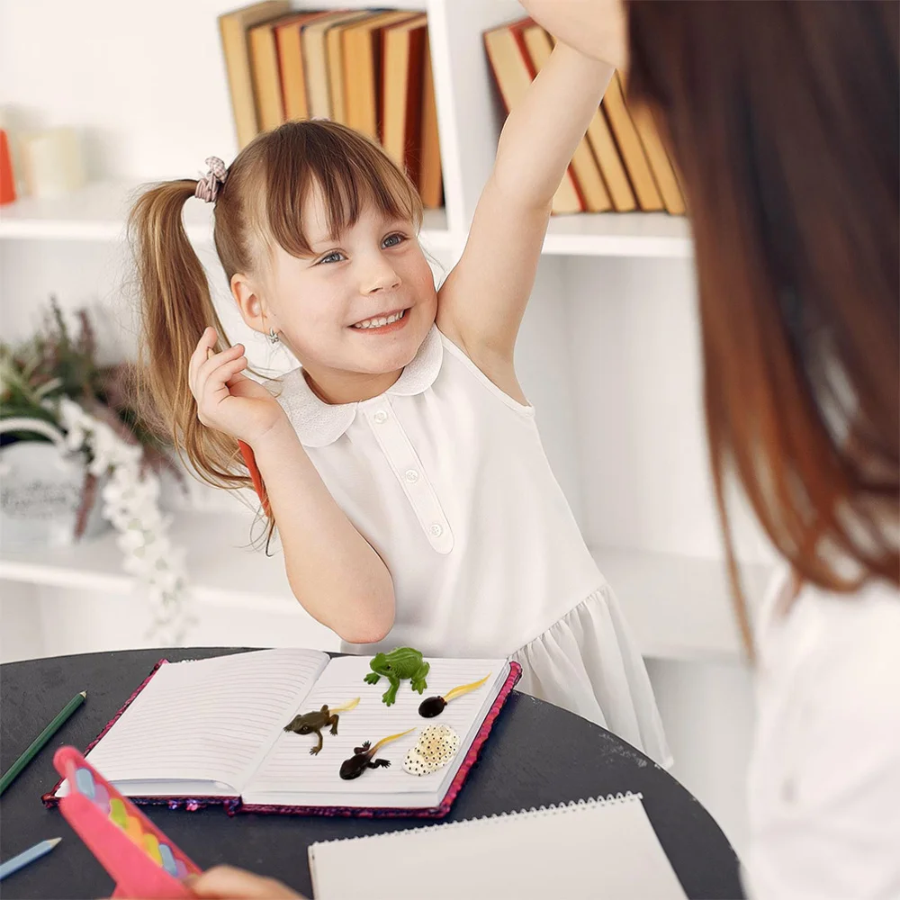 

2 Sets Animal Life Cycle Models of Butterflies Frogs Kids Early Education Toys