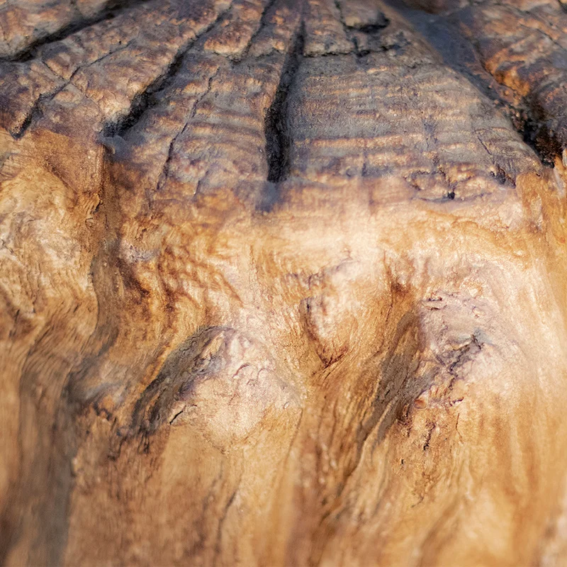 

Tree Root Shape Landscape Light Villa Garden Backyard Grass land Lamp Nature Scenic Resort Park Path Lawn Lighting