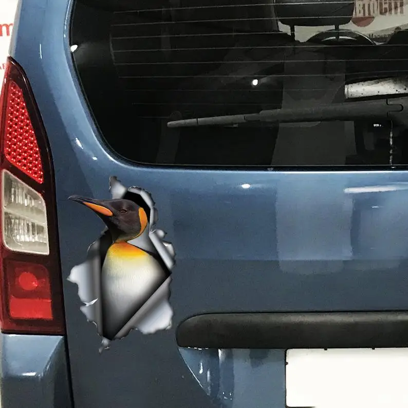 

2021 King penguin car decal , king penguin magnet, king penguin sticker