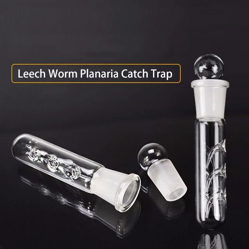 

Glass Acrylic Snail Leech Vivarium Pest Catch Trap Shrimp Worm Planaria Catcher Fish Tank Aquarium Accessories