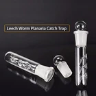 Стеклянная акриловая ловушка для вредителей, улитки, пиявки, ягодиц, ловушка для ловли креветок, червя, ловушка для планарии, аквариумные аксессуары