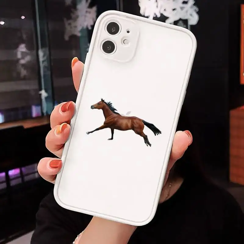 

Frederik The Great beauty horse Phone Cases matte transparent For iphone 7 8 11 12 plus mini x xs xr pro max cover