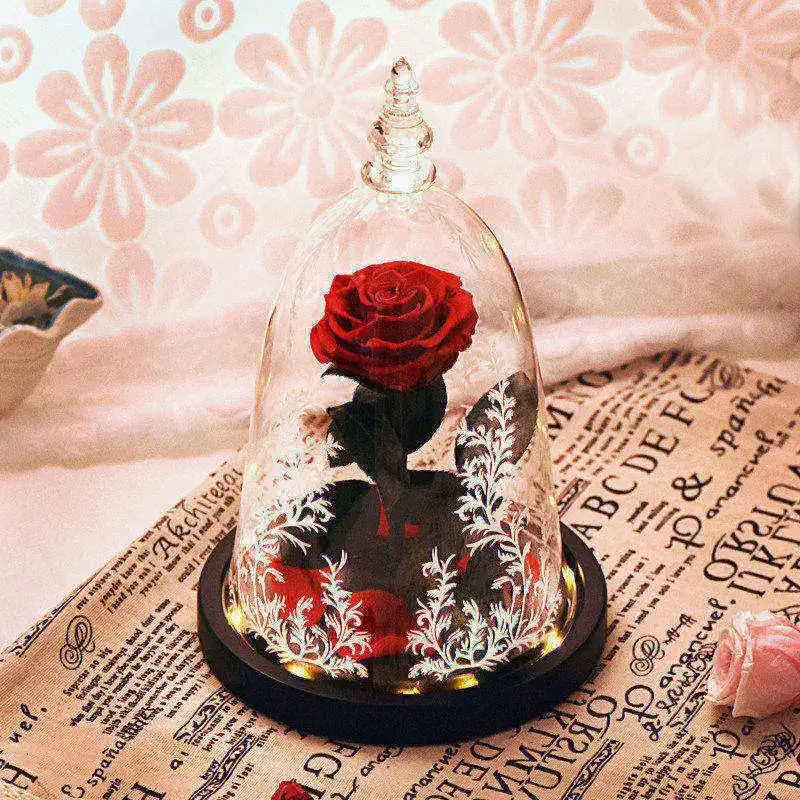 preserved rose Стеклянный растительный Террариум розы цветы красота и чудовище красный Зачарованный светодиодный Цветок розы комнатные украшения подарки - Цвет: preserved rose