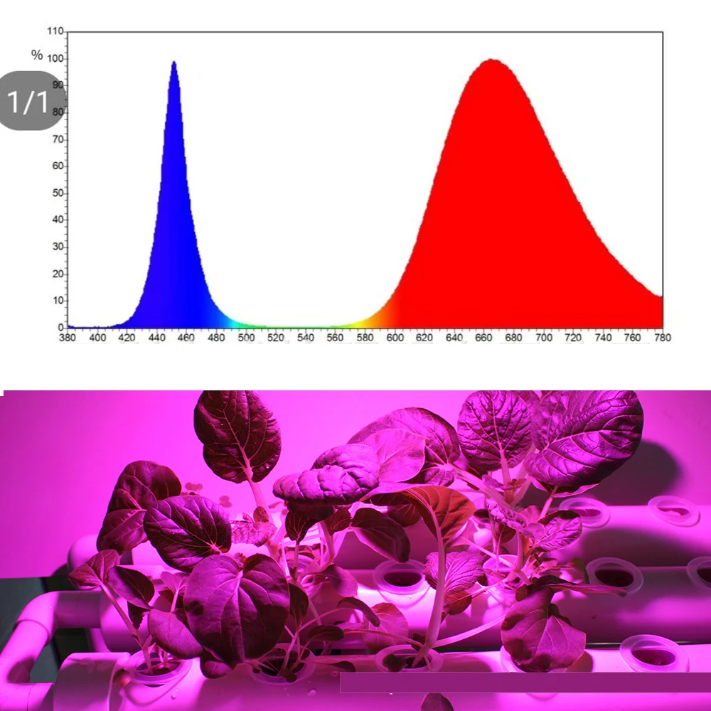 

LED Grow Light USB Phyto Lamp Full Spectrum Fitolamp With Control Phytolamp For Plants Seedlings Flower Home Phytotape