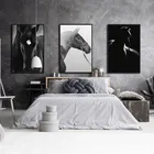 Плакат с животными, черно-белая лошадь, украшение, живопись, Hd печать, картина на заказ, домашний Настенный декор для гостиной, спальни