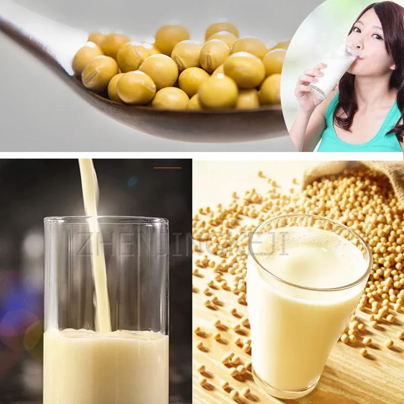 

750W Electric Multi-functional Refiner Efficiency Household Stone Mill Grinding Refining Small Soy Bean Milk Dry and Wet Refiner