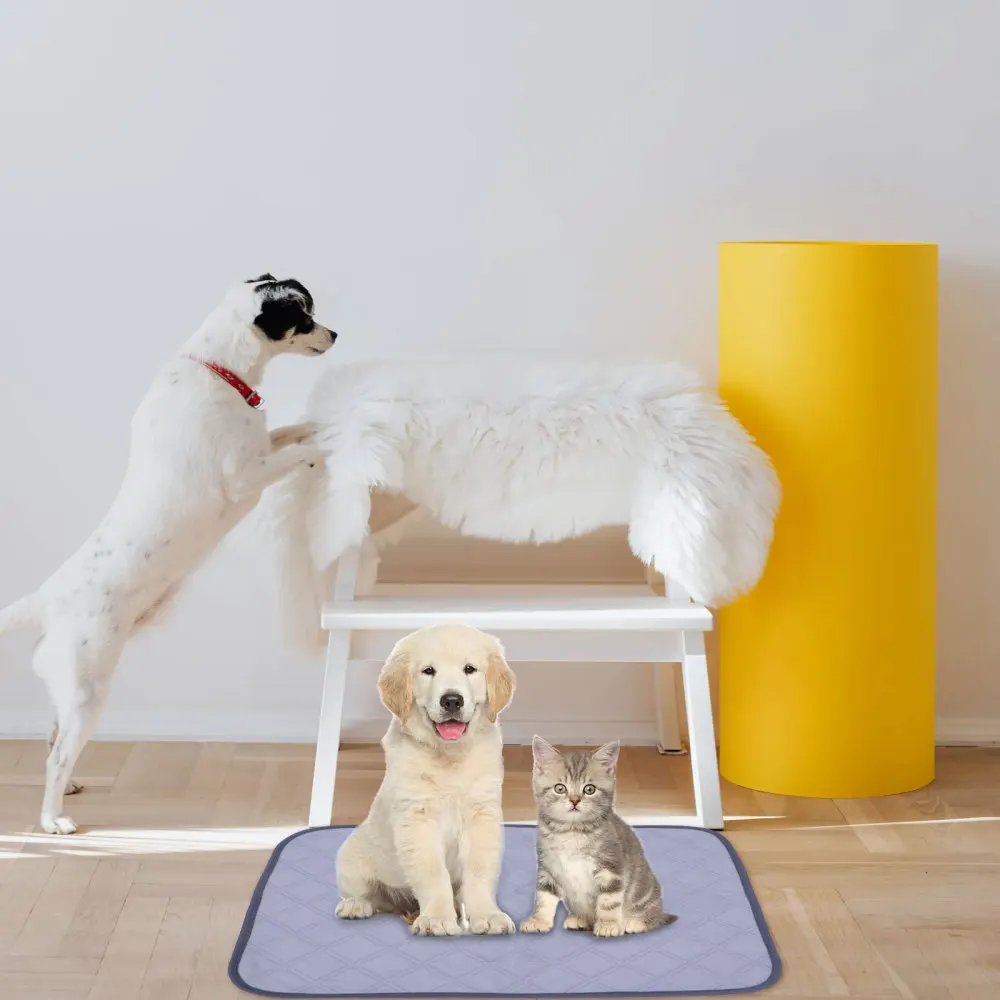 

2pcs Professional Pet Training Pad Pet Pee Absorbent Cushion Non-skid Dog Pad