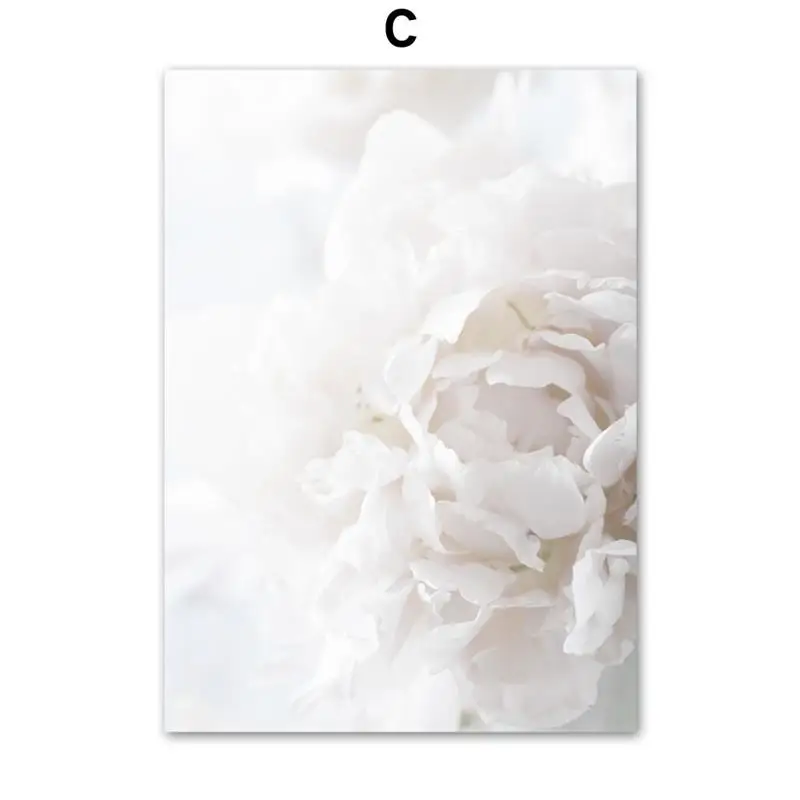 

Wall Art Canvas Painting White Flower Core Eustoma Peony Nordic Posters And Prints Landscape Wall Pictures For Living Room Decor