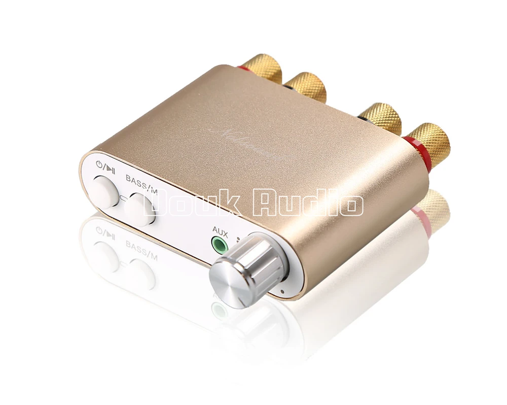 Nobsound NS-10G TPA3116 Bluetooth 5,0 Мини 50 Вт* 2 Цифровой усилитель стерео Hi-Fi усилитель мощности 5 цветов - Цвет: Золотой