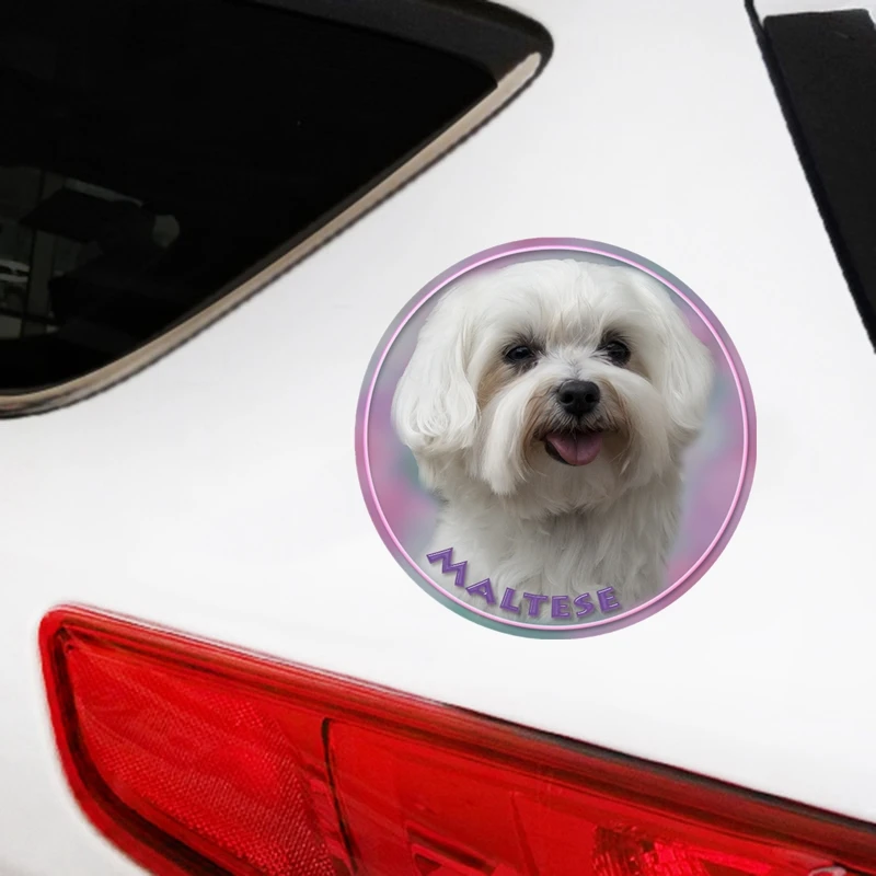 

S40348# Various Sizes PVC Decal Maltese Dog V2 Car Sticker Waterproof For Bumper Rear Window Laptop Refrigerator Toilet