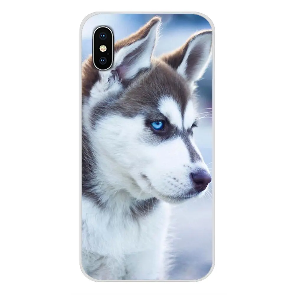 Аксессуары чехлы для телефонов Чехлы с животными Хаски щенок Samsung Galaxy J1 J2 J3 J4 J5 J6 J7