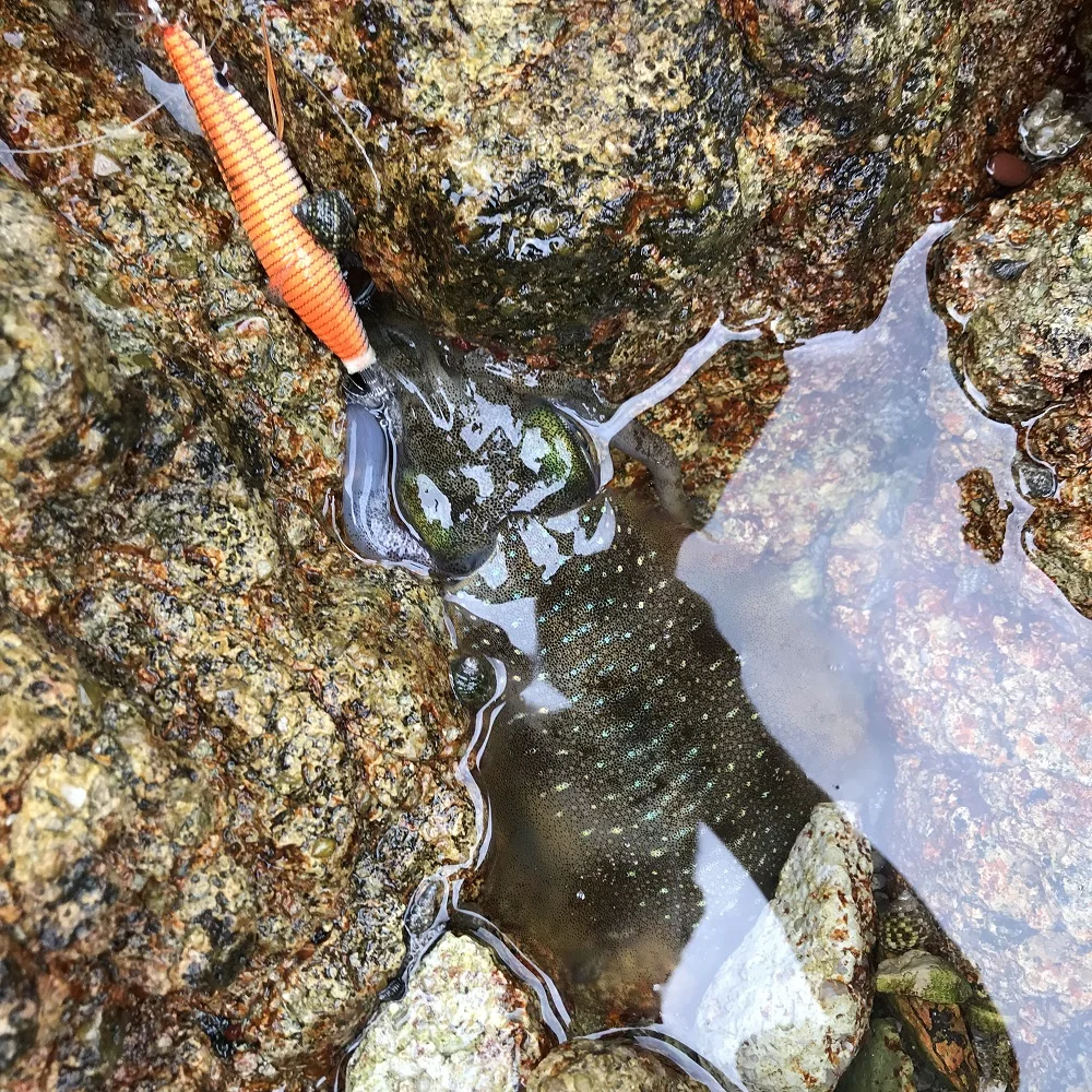 1 шт. розничная продажа крючки с блесной в виде кальмара джиг рыболовные