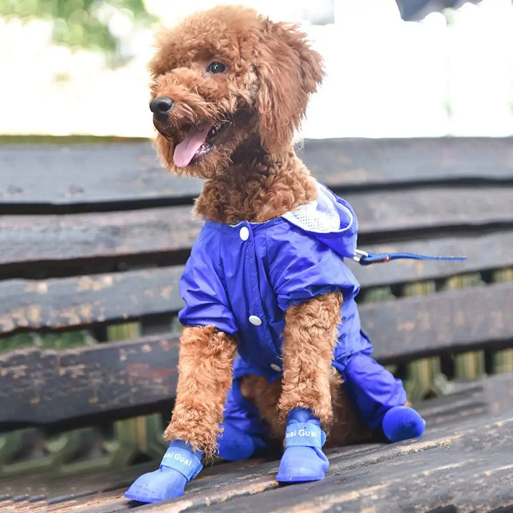 Принадлежности для домашних животных модные и в простом стиле непромокаемые