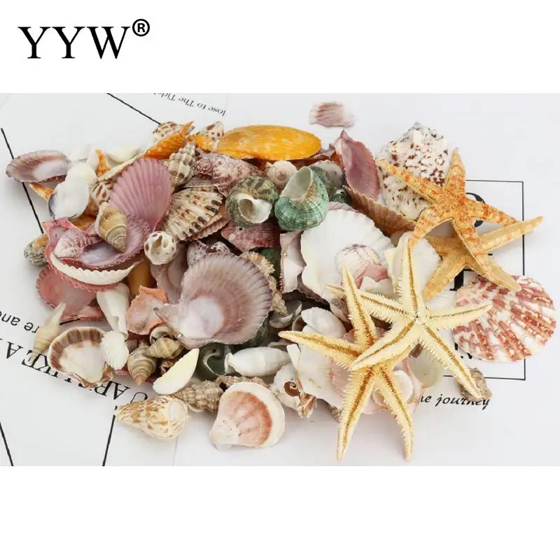 150 шт./пакет смешанные морские раковины Schelpen Coquillage Conchas Shell для украшения дома декоративный Вавилон морской домашний Морской Декор
