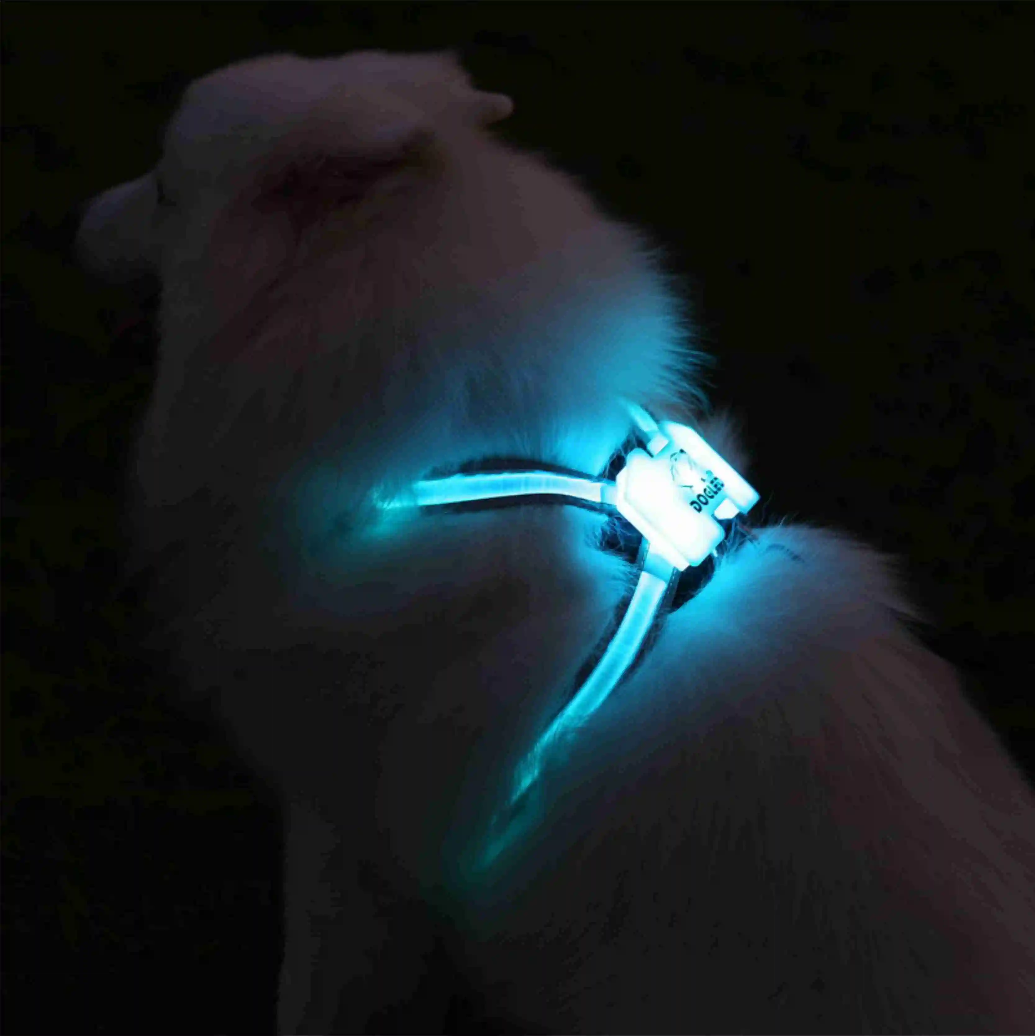 

dog led collar USB rechargeable for small dog and large size collar