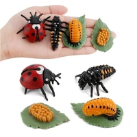 childrens cognitive science education model cycle plastic butterflyladybugchicken models life toy figurine kids
