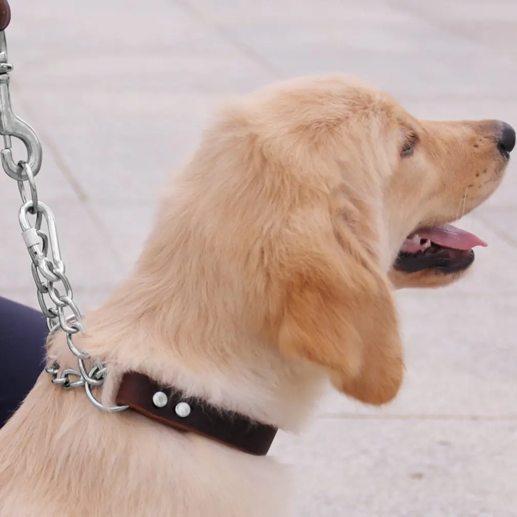 

Half P-collar Three-ring P-chain Collar with Welded Link Chain Dog Collar Cowhide Collar P-chain Dog Collar Layer Leather Collar