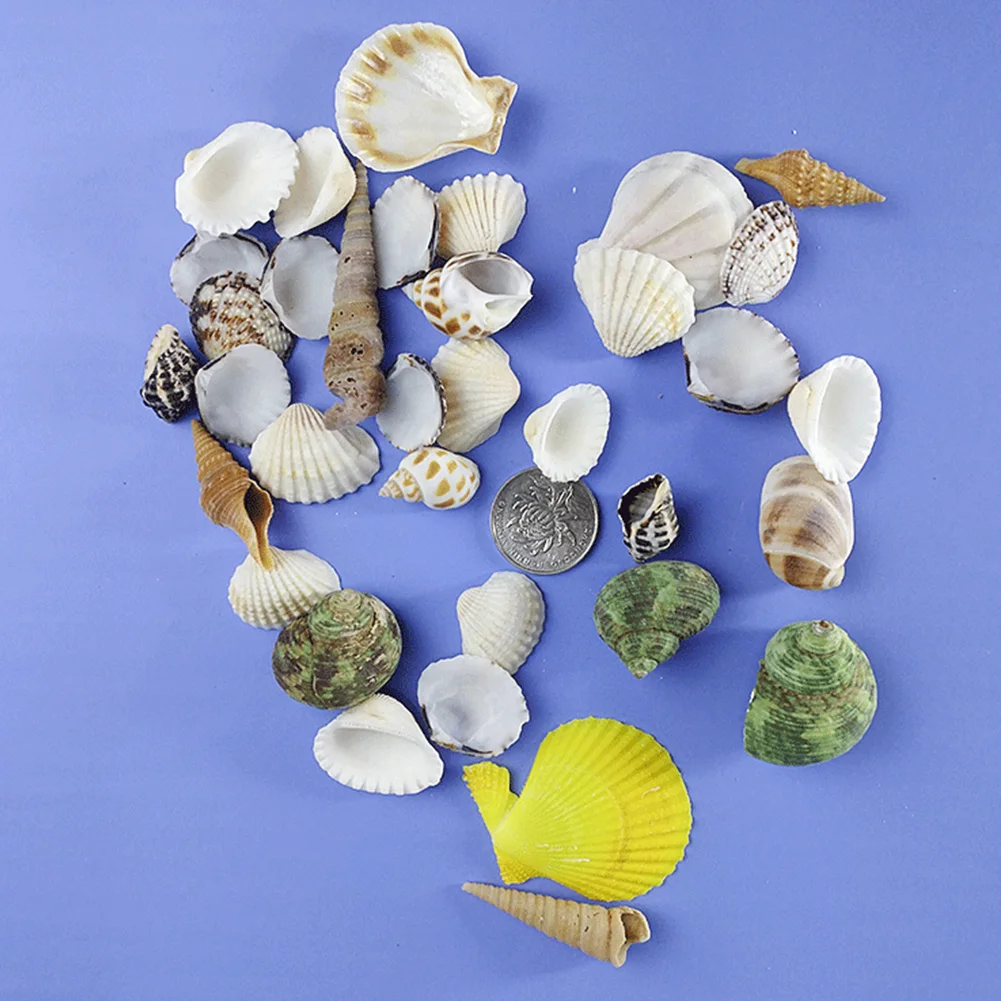 Аквариум Пляж декоративные раковины фотография Реквизит аквариум практичный