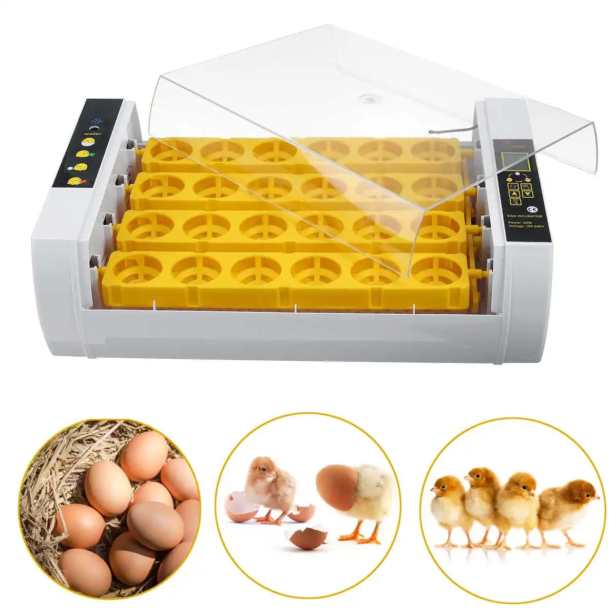 

Egg Incubator Full Automatic Incubator 24PCS Duck Bird Egg Small Poultry Incubator Digital Chicken Breeding Box