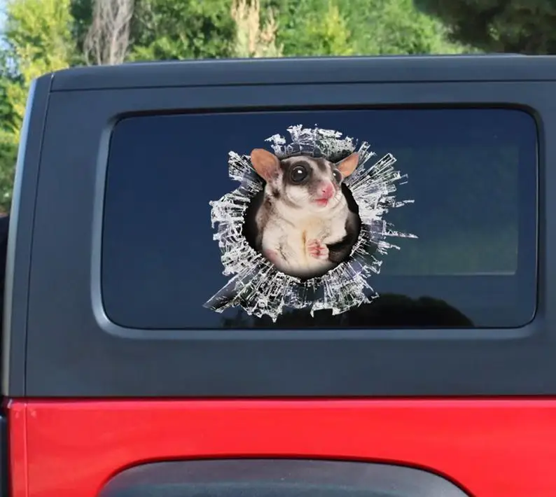 

Sugar Glider window decal, Sugar Glider car decal, funny Sugar Glider sticker