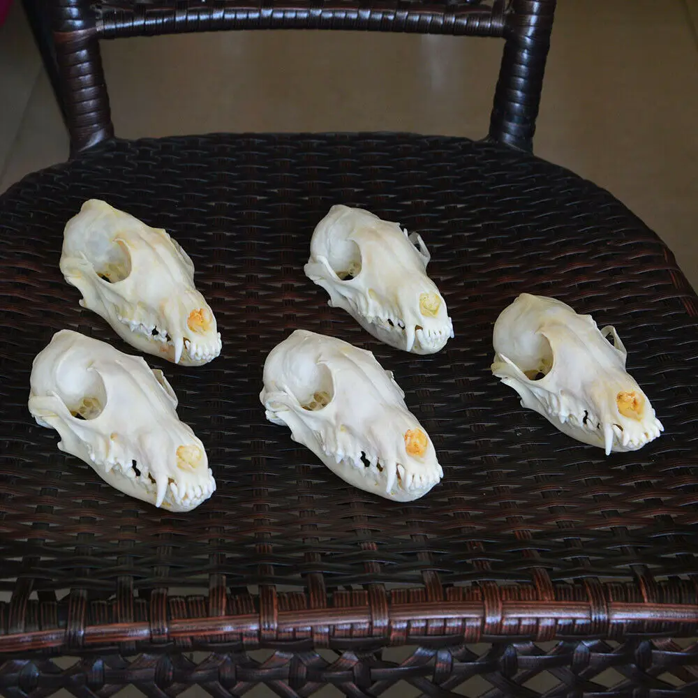 Украшение на Рождество 1 шт. 2 5 10 | Дом и сад