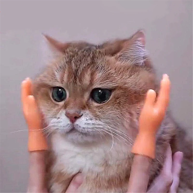 

Funny Mini Hands Creative Finger Fidget Toys Small Hand Tease the Pet Toy