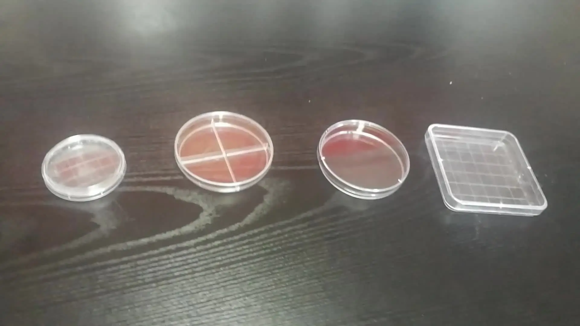 

good price sterile ps custom 120mm*120mm lab disposable plastic glass medical square shape petri dish