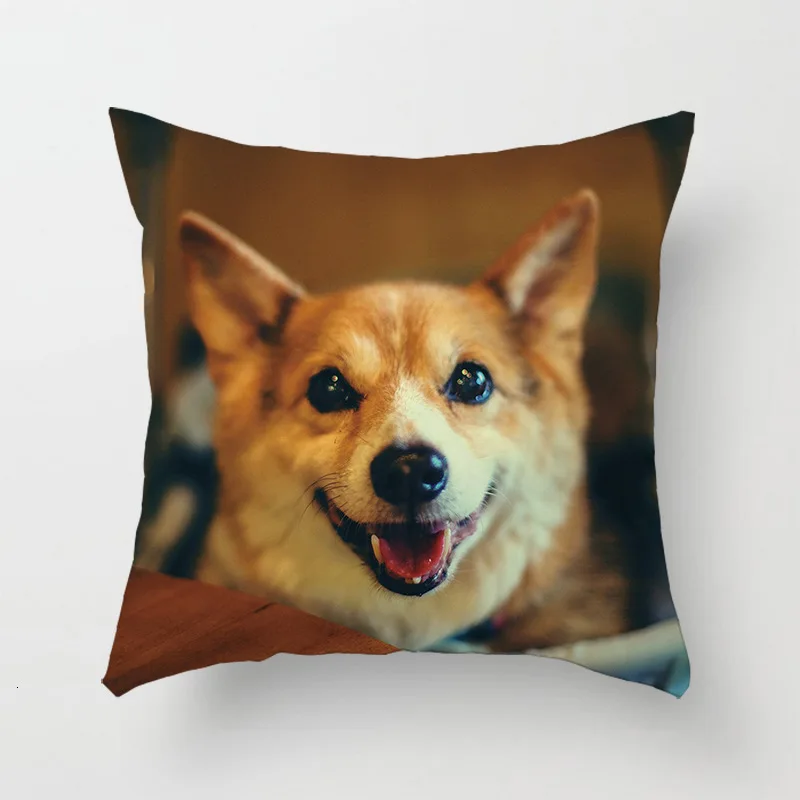 

Baby Puppy Dog Pillow And Pillow Furry Home Furnishing Embrace Pillow Case Sofa By