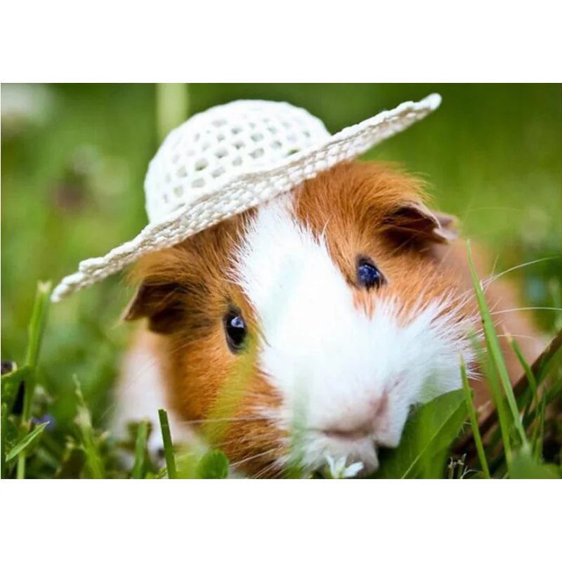 Животные 5D Diy алмазная живопись морская свинка 3D Алмазная мозаика полная