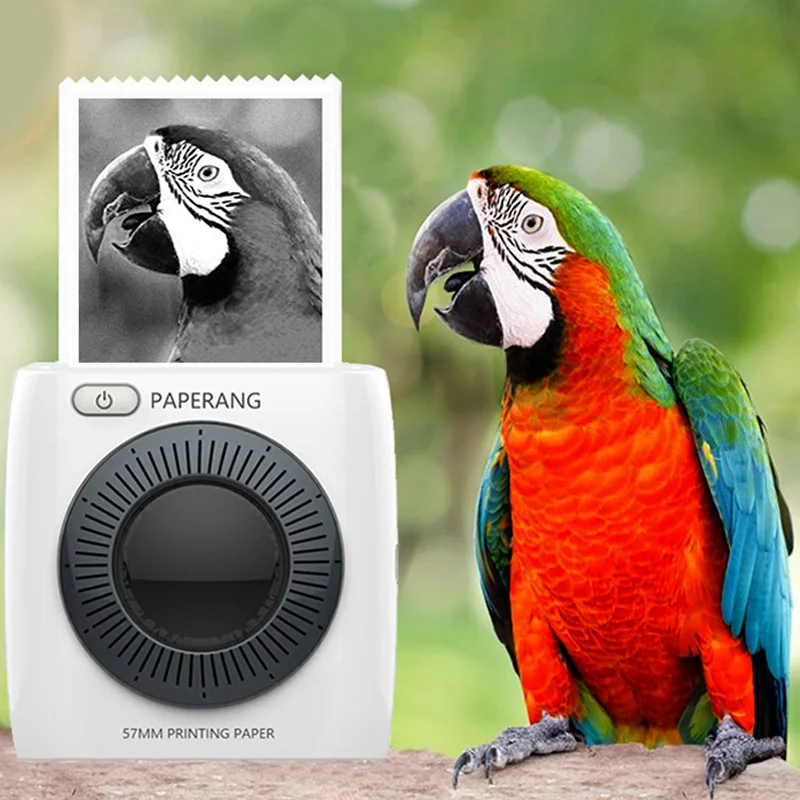 Карманный фотопринтер Мини Мобильный принтер печатающий фотографии с телефона