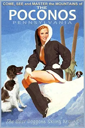 

Metal Tin Sign Poconos Pennsylvania Snow Ski Travel Poster Pin Up Girl Pub Outdoor Bar Retro Poster Home Kitchen Restaurant Wall
