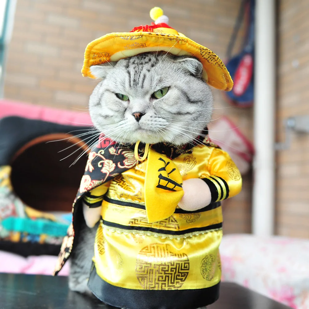 Забавный костюм для кошки, собаки, одежда для домашних животных, танец льва для маленьких средних собак, корги, Новогодняя традиционная одежда, французское платьице для бульдога