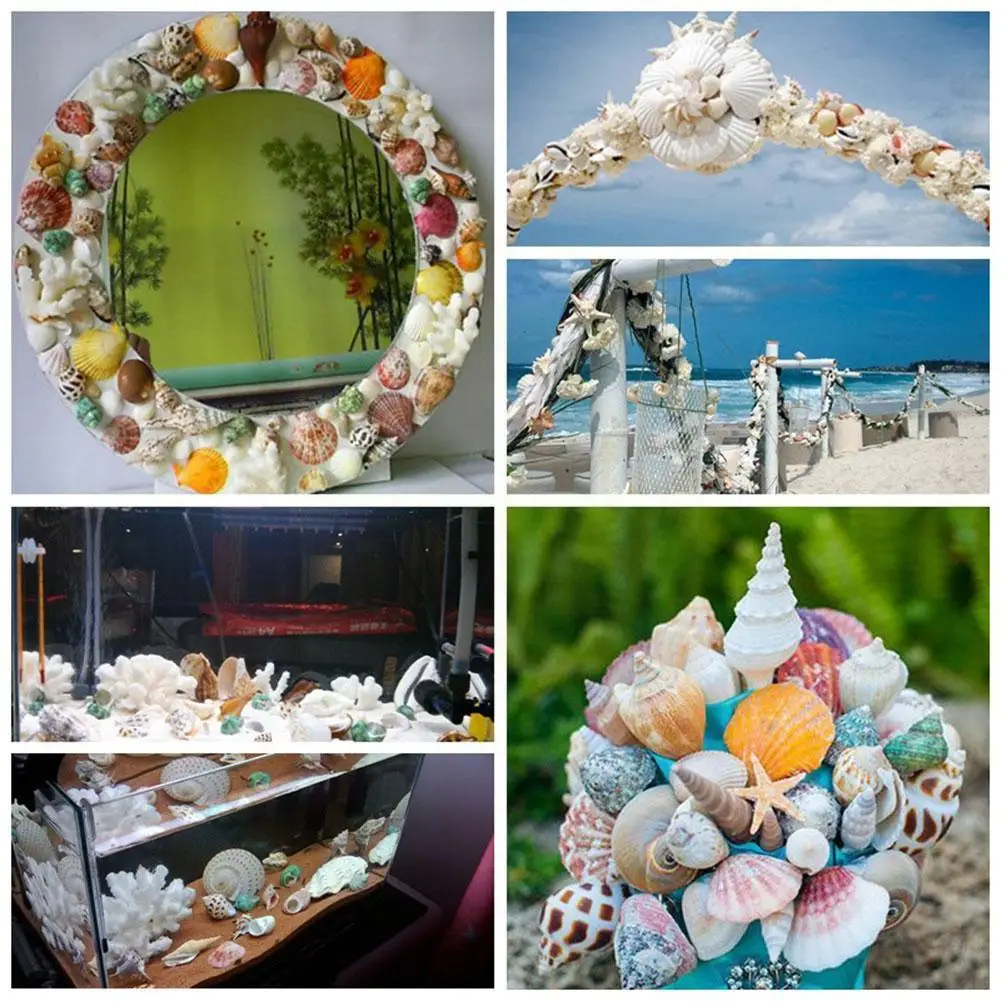 

Natural Colorful Shells Starfish And Conch Desktop Shells Decorations Scallop DIY Decor Materials Crafts Seashells Ornament P9O4