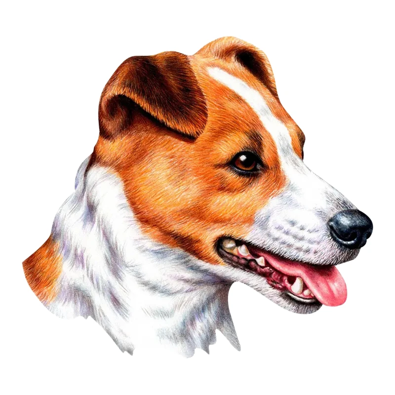 

Печатный самоклеющийся наклейки на авто ДЖЕК РАССЕЛ водонепроницаемые наклейки на машину стикер этикеты наклейки стайлинга автомобилей украшения на бампере автомобиля заднее стекло