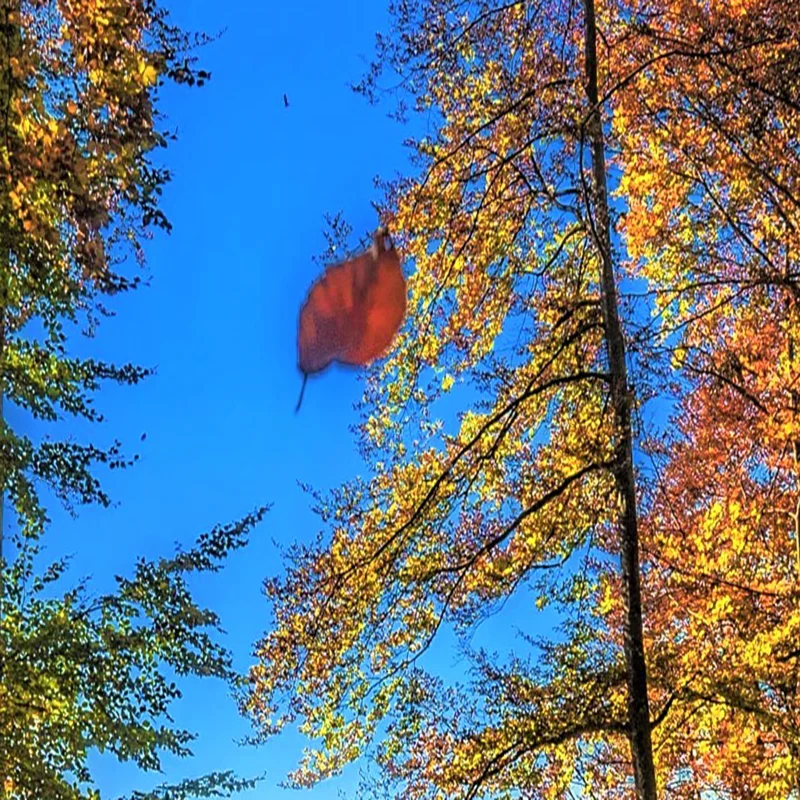 Настенная 3D наклейка на заказ фреска из нетканого материала с изображением