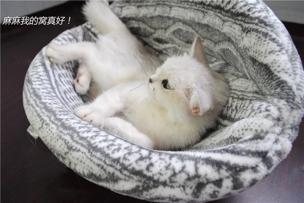 Кошачьи кровати сферический кошачий дом с круглым отверстием вашей кошке