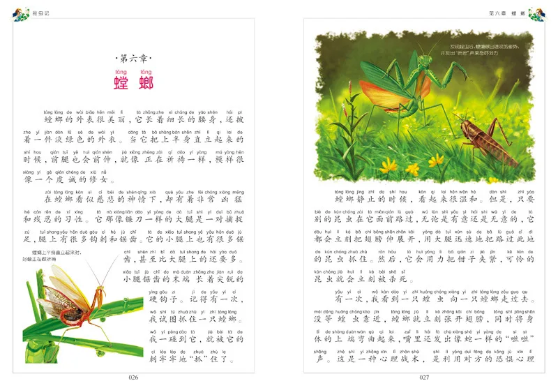 

Insect Remember Phonetic Version of Fabre Genuine Primary School Version Children Literature Book Nationality 7-10-Year-Old Chil