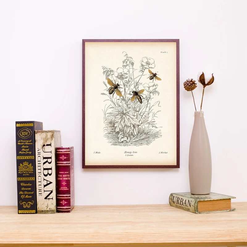 Винтажная картина в виде насекомых искусство естественного развития на холсте