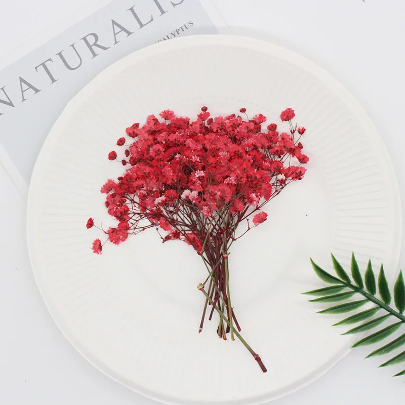 Натуральные сушеные цветы тиснение Botany образец Diy клей ручной оболочки Ароматерапия Свеча фоторамка активность материал наука