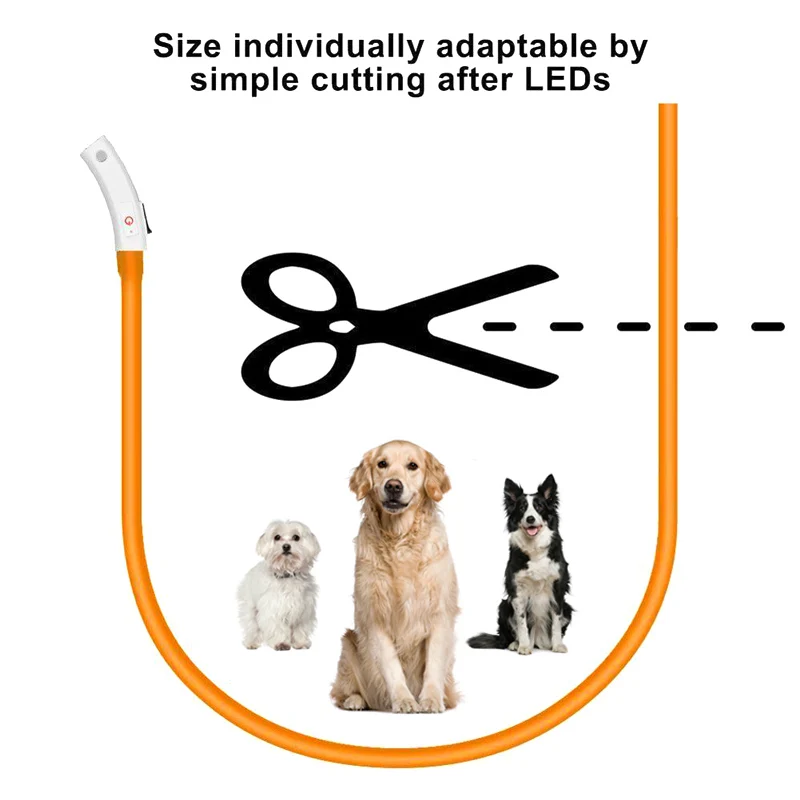 Светодиодный светильник-ошейник для собак | Дом и сад