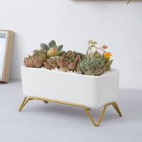 white ceramic flowerpot with gold metal stand succulent plant pot cactus planter with drain hole oval rectangle flower pot