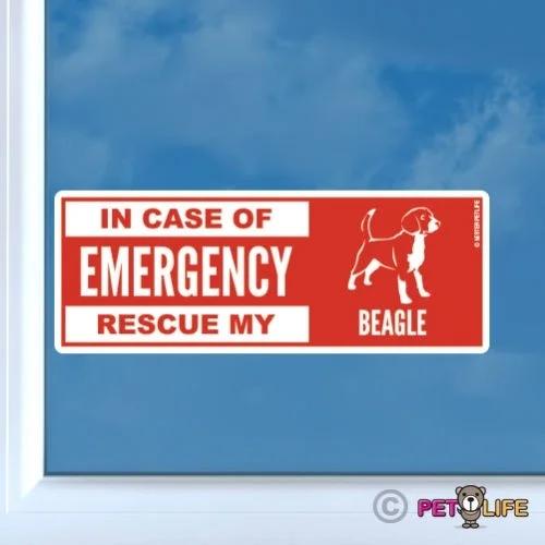Виниловая наклейка Бигль в чехол аварийно-спасательные | Автомобили и мотоциклы