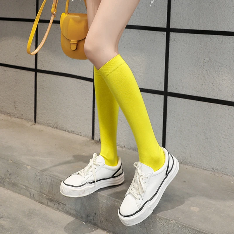 

Women's Socks & Hosiery