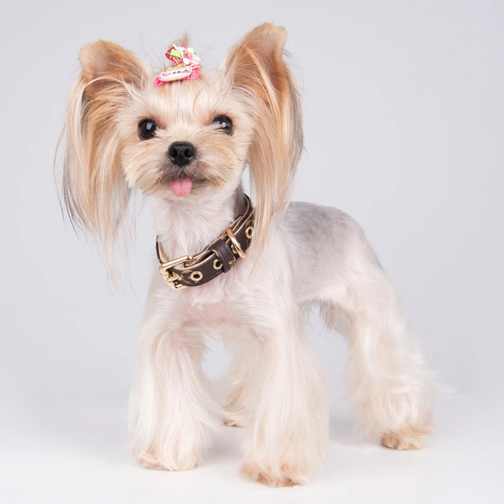 Conjunto de Correa y Collar para perro, accesorios de dise&ntilde;o para Bulldog Franc&eacute;s, Schnauzer Corgi, Chihuahua, Gato de cuero-0