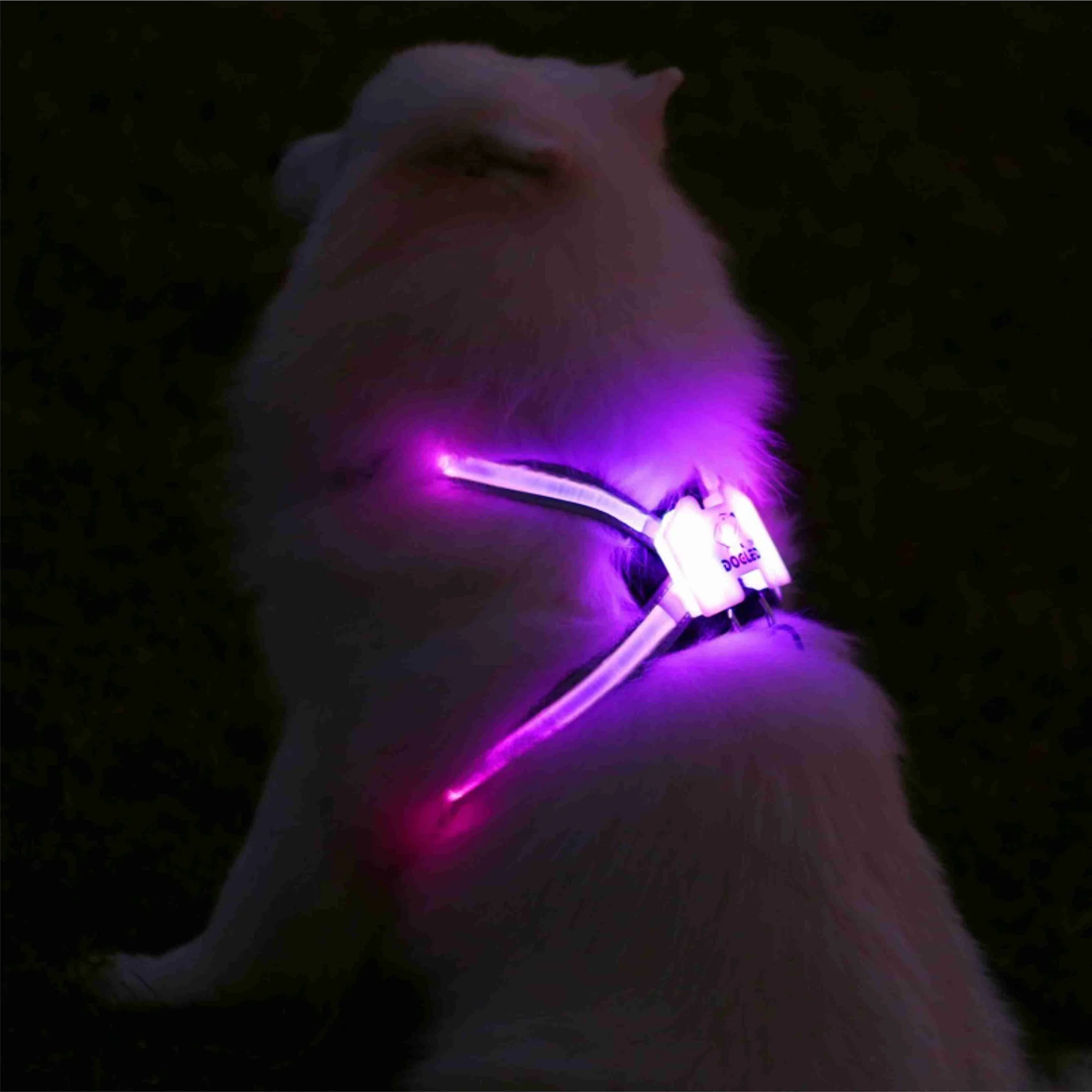 

protective cc simon no pull large led dog harness