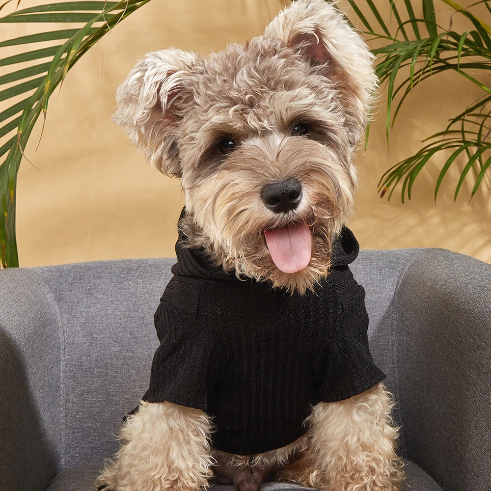 

Весенняя теплая толстовка с капюшоном для кошек одежда для домашних питомцев мультяшная хлопковая одежда для собак для маленьких и средних...