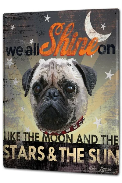 

Fun We All Shine on a Dog's Head Moon Stars Tin Sign
