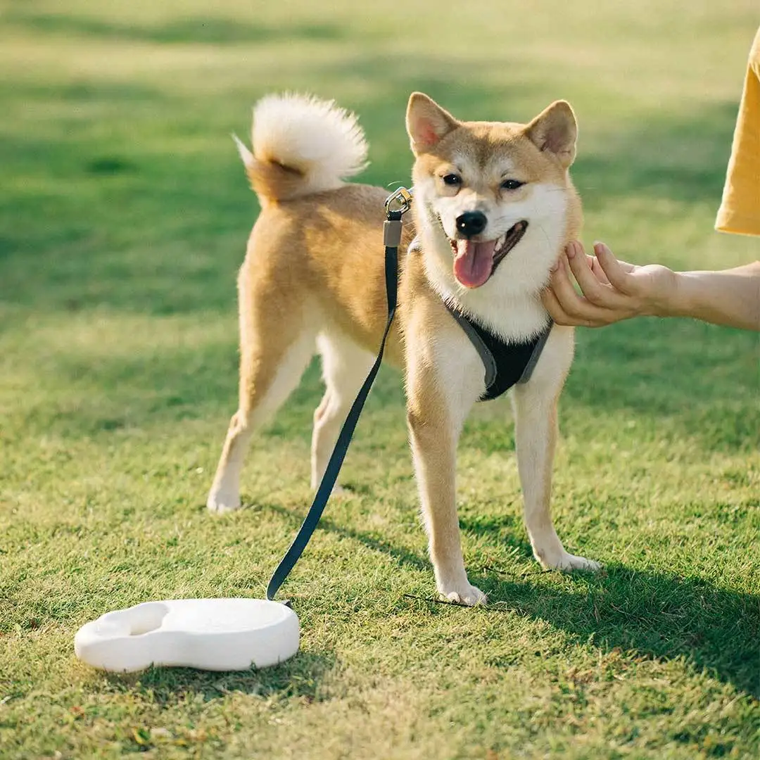 Xiaomi Pet Телескопический тяговый трос гибкий замок безопасности автоматический разматывающийся прочный Xiomi трек веревка для домашних животных 5 м
